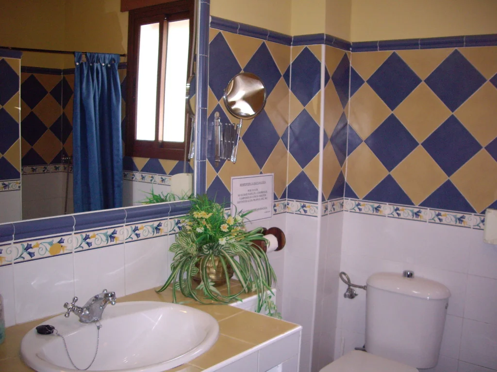 Baño completo y pasillo